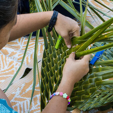 Des mains d'artisans, tressant un palmier vert - AOA Polynesian Forests