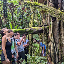 Découverte de la forêt éducative - AOA Polynesian Forests