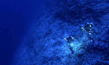 atn-illust-_0001_the_twilight_zone_of_polynesia_copyright_franck_gazzola_under_the_pole.jpg Air Tahiti Nui diving FGazzola