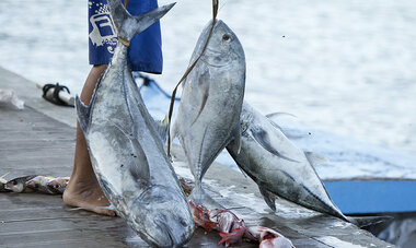 atn-illust-_0018_06_hero_huahine_01232.jpg Air Tahiti Nui Fishing TTourisme