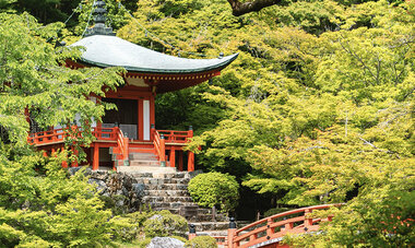 atn-illust-_0059_japan-temple-demrich.jpg Air Tahiti Nui Japan temple DEmrich