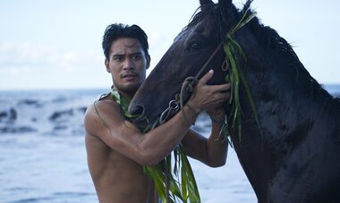 Marquisien avec un cheval