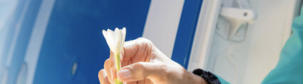 illust-_0008_tiare-welcom-rights-until-jun24_14.jpg Air Tahiti Nui Tiare Welcome