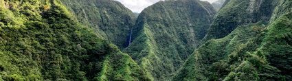 Montagnes majestueuses de la forêt de Mataiea- AOA Polynesian Forests