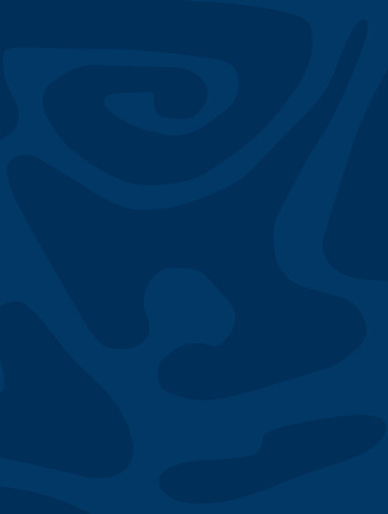 banner-_0002_livery-large-dblue_dblue-mul20.jpg Banner-dblue
