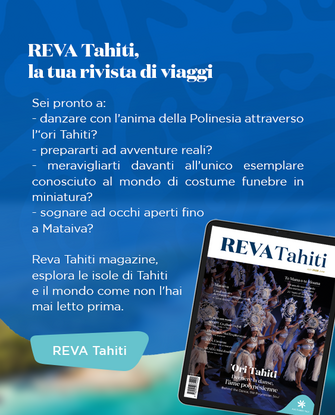 Bandeau REVA 92 - IT  - desktop