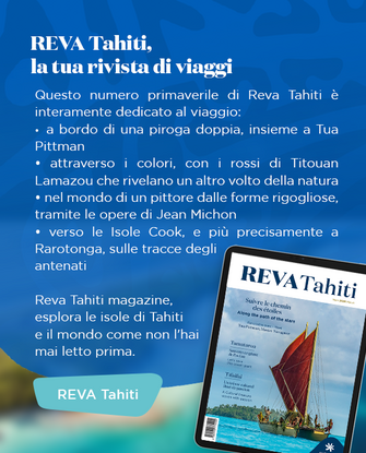 Bandeau REVA 94 - IT  - desktop